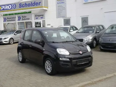 Gebraucht Fiat Panda Easy 69 PS (50 kW) 2017 Colore interno (schwarz/grau f Kleinwagen