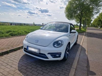 gebraucht VW Beetle 1.2 TSI BMT SOUND Cabriolet SOUND