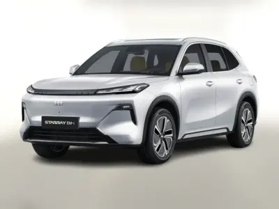 Gebraucht Geely Starray