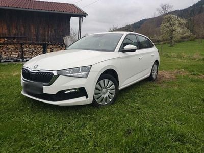 Usata Skoda Scala Ambition 110 CV (80 kW) 2021 Bianco Utilitaria