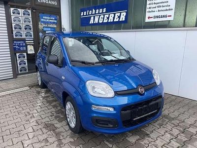 Neu Fiat Panda 69 PS (50 kW) 2025 Weiss Kleinwagen