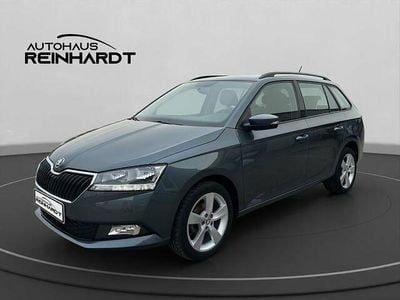 Gebraucht Skoda Fabia Cool Plus 75 PS (55 kW) 2019 Grau Kleinwagen