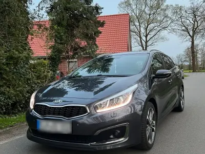 Brugt Kia Ceed Spirit 136 HK (100 kW) 2016 Andere farben Hatchback
