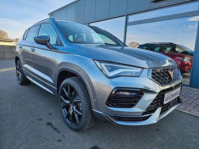 Gebraucht Cupra Ateca 150 PS (110 kW) 2026 Grau SUV