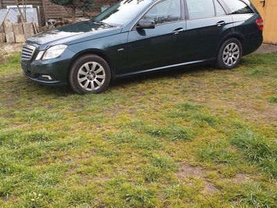 gebraucht Mercedes E300 CDI T BlueEFFICIENCY -