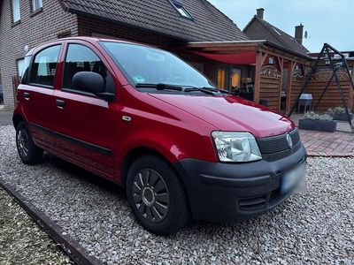 Gebraucht Fiat Panda 60 PS (44 kW) 2011 Rot Kleinwagen