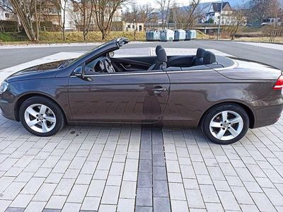 Gebraucht VW Eos 140 PS (102 kW) 2011 Black oak brown metallic Cabrio