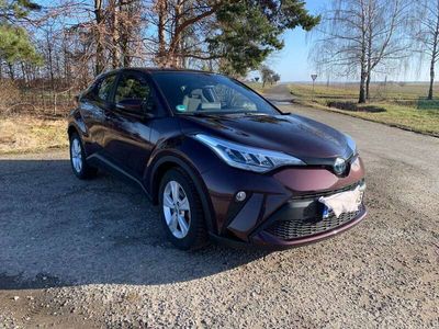 gebraucht Toyota C-HR Business Edition