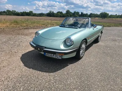 Gebraucht Alfa Romeo Spider 126 PS (92 kW) 1986 Grün Cabrio