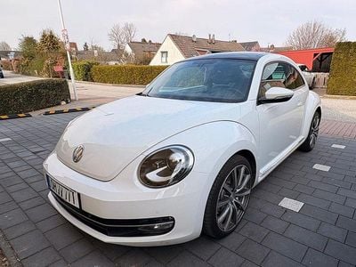 Gebraucht VW Beetle Sport 160 PS (117 kW) 2013 Weiß Kleinwagen