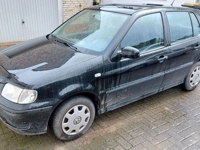 gebraucht VW Polo 