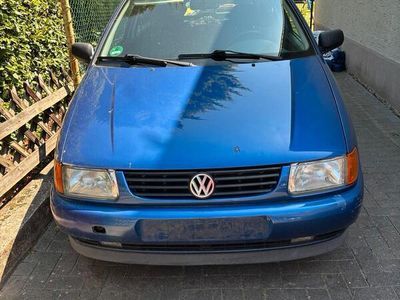 VW Polo