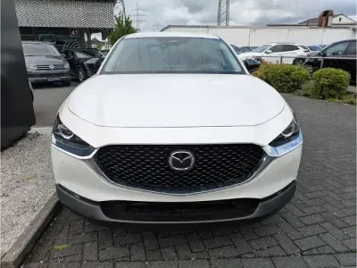 Neu Mazda CX-30 Homura-Line 140 PS (102 kW) 2025 Beige SUV