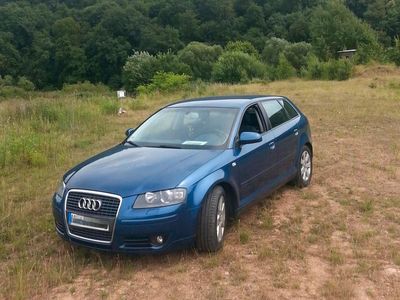 Gebraucht Audi A3 Sportback 116 PS (85 kW) 2004 Blau Kleinwagen
