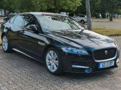 gebraucht Jaguar XF Jauguar300 R sport