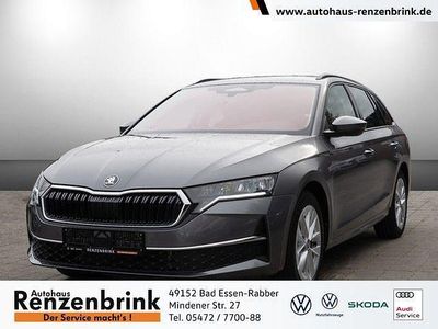 Neu Skoda Octavia Selection 150 PS (110 kW) 2025 Grau Kombi