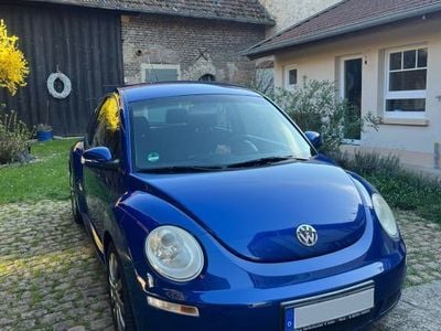 VW Beetle