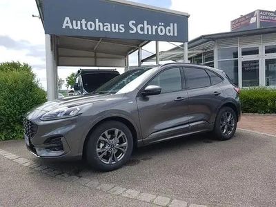 Gebraucht Ford Kuga ST-Line X 150 PS (110 kW) 2022 Grau SUV