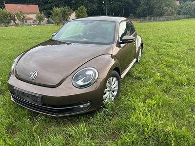 VW Beetle