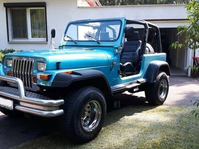 Gebraucht Jeep Wrangler 121 PS (88 kW) 1995 Blau SUV