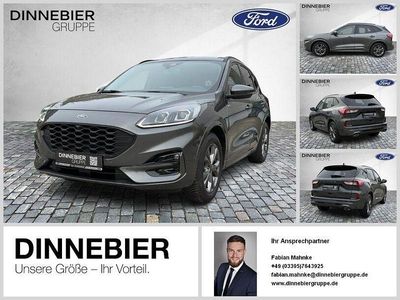 Gebraucht Ford Kuga ST-Line X 150 PS (110 kW) 2023 Grau SUV