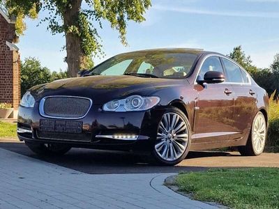 gebraucht Jaguar XF 3.0 V6 Diesel Premium Luxury Premium Luxury