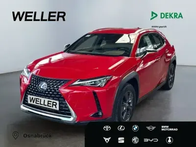 Gebraucht Lexus UX 250h Launch Edition 178 PS (130 kW) 2019 Rot SUV