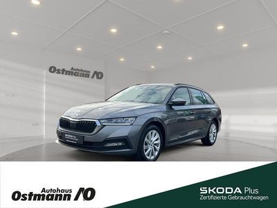 Gebraucht Skoda Octavia Ambition 150 PS (110 kW) 2024 Kombi