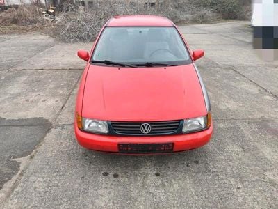 VW Polo