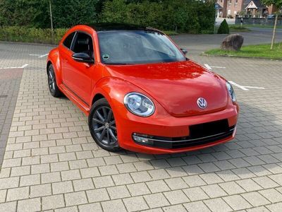 gebraucht VW Beetle 2.0 TDI 81kW CLUB, 17 Zoll+Winterreifen