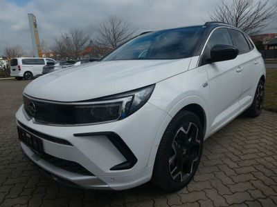 Othercolor Gebraucht 2024 Opel Grandland X Elegance SUV | 29.990 € (Etwas zu teuer)