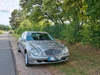 Gebraucht Mercedes E240 177 PS (130 kW) 2003 Beige Limousine