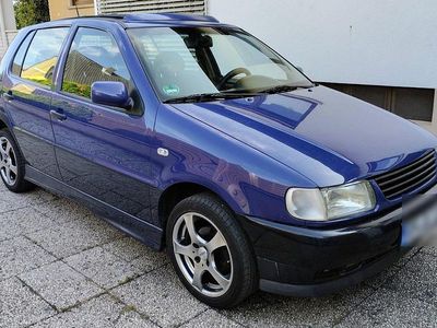 VW Polo