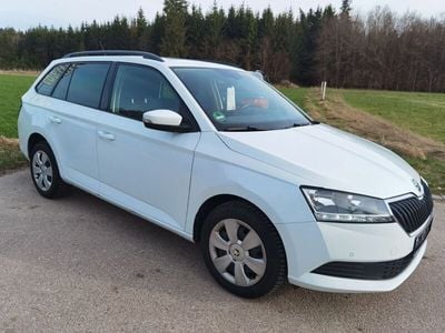 Gebraucht Skoda Fabia Ambition 95 PS (69 kW) 2019 Weiß Kleinwagen