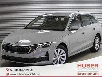 Neu Skoda Octavia 2025 Grau