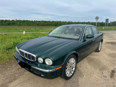 gebraucht Jaguar XJ8 4.2 Liter -