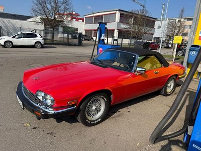 Occasion Jaguar XJS 262 ch (192 kW) 1990 Rouge Cabriolet