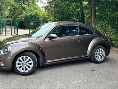 VW Beetle