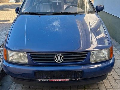 VW Polo