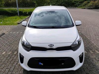 Usata Kia Picanto Start 67 CV (49 kW) 2021 Bianco Utilitaria
