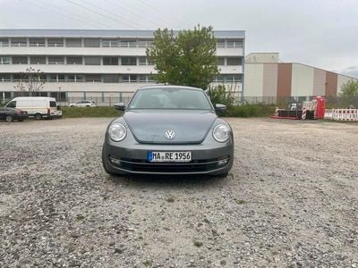 VW Beetle