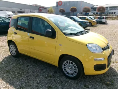 Neu Fiat Panda Icon 70 PS (51 kW) 2026 Schwarz Kleinwagen