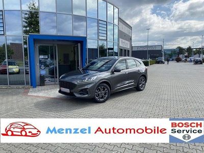 Gebraucht Ford Kuga ST-Line 150 PS (110 kW) 2023 Grau SUV