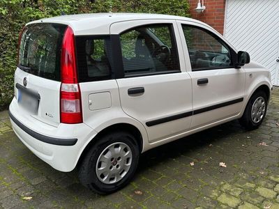 gebraucht Fiat Panda 