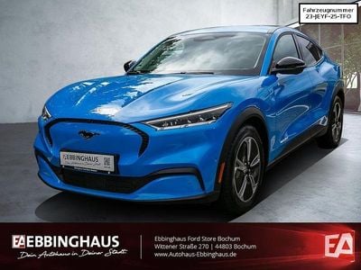 Neu Ford Mustang Mach-E Basis 197 kW (269 PS) 2025 Blau SUV