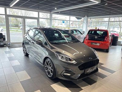 Gebraucht Ford Fiesta ST-Line 101 PS (74 kW) 2019 Grau Kleinwagen