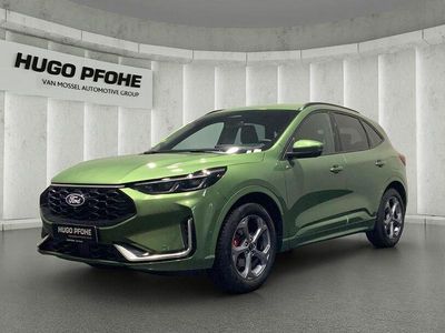 Gebraucht Ford Kuga ST-Line X 186 PS (136 kW) 2024 Bursting green SUV