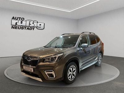 Usata Subaru Forester Comfort 150 CV (110 kW) 2020 Marrone SUV
