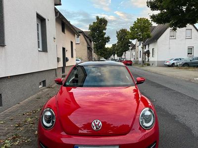 VW Beetle