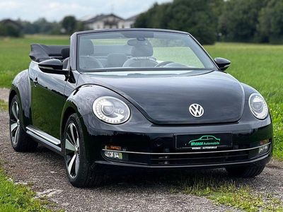 VW Beetle